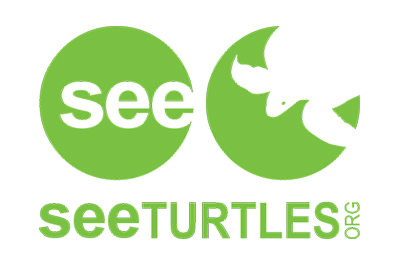 See Turtles