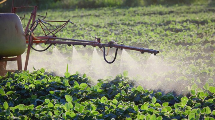 Spray field