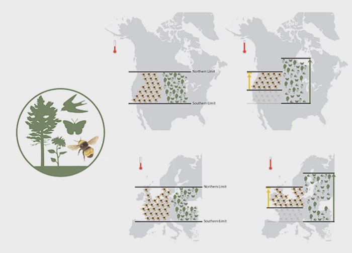 Bees climate