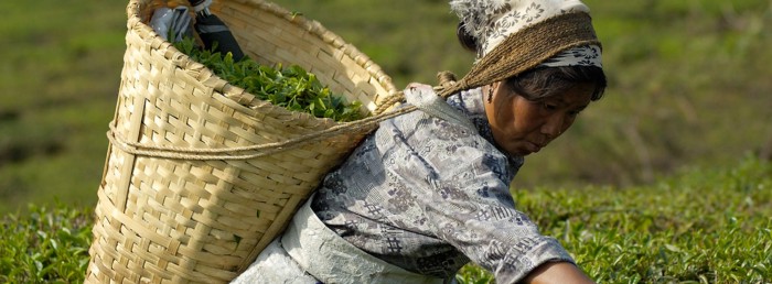 What is “Fair Trade”?