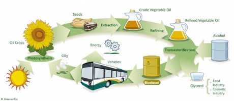 Vegetable Oil Fuel