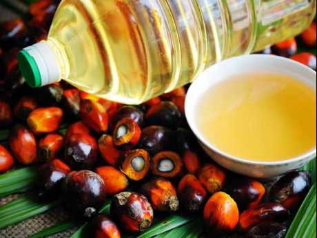 The Palm Oil Industry