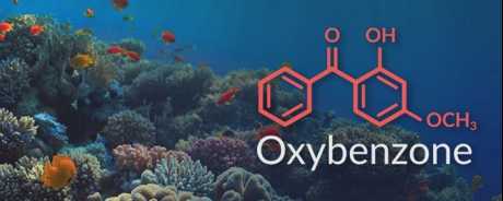 oxybenzone